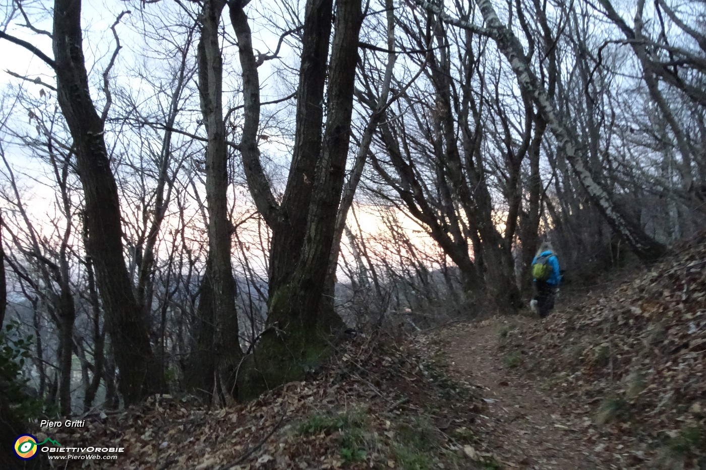 94 Tramonto dal bosco....JPG